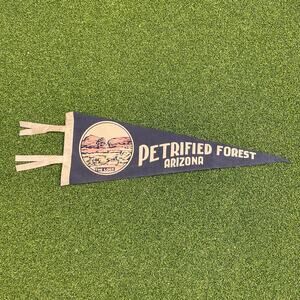 Vintage Petrified Forest Arizona Felt Pennant National Park Logs Retro